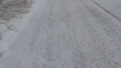 Un tramo clave de la Ruta 42 sigue cerrado: el detalle de todas las rutas afectadas por el mal tiempo