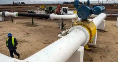 El frío polar obligó a parar fábricas en Jujuy y el temor a pérdidas millonarias crece