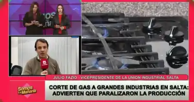 Frío extremo paraliza industrias salteñas: “Tenemos que consumir cero”