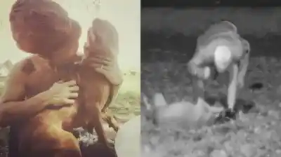 Se hacía el amante de los animales en Instagram, pero las cámaras lo delataron: golpeó a sus perros a escondidas