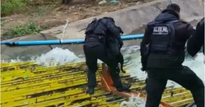 Perrito cayó a un canal helado y lo rescataron en el último segundo: el reencuentro que conmovió a Jujuy