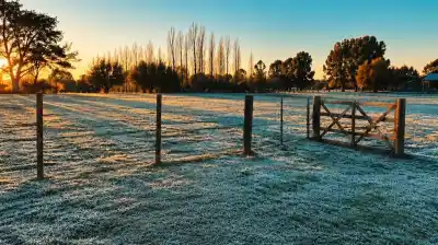 El termómetro no da tregua: el frío polar que tiene en vilo a los productores y amenaza las cosechas