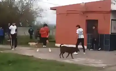 Violenta pelea en Acheral: Estudiante apuñalado durante clase de educación física