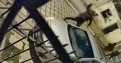 Se metieron en su auto a plena madrugada y lo que se llevaron es ridículo