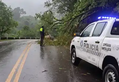 Alerta en la Ruta 307: Árboles Caídos y Derrumbes Tras el Temporal