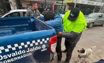 Asaltaron su local en Alberdi y no dudó: salió corriendo tras ellos y atrapó a uno