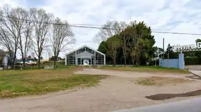Intentó robar en un depósito de Mar del Plata, pero un error fatal lo dejó atrapado y sin vida