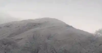 El frío polar tiñó de blanco dos localidades salteñas y las imágenes son impactantes