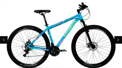 En plena atención al público, una bicicleta desapareció frente a una verdulería en Las Termas