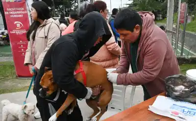 Protege a tu mascota: cronograma completo de vacunación antirrábica gratuita en San Salvador