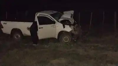 Impactante choque contra un animal en la Ruta 64: piden extremar cuidados