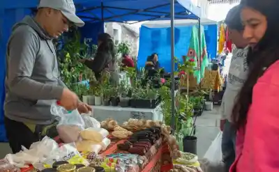 Feria Campesina Pucará: productos regionales y descuentos para combatir el frío
