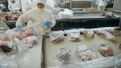 Cuota Hilton: el Gobierno repartió 29 mil toneladas para exportar carne a Europa y ya hay 81 empresas beneficiadas