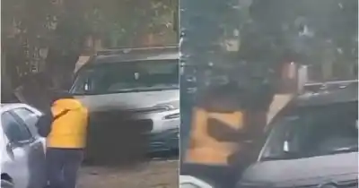 La pelea en la puerta de un bar que terminó con dos detenidos y un insólito hallazgo