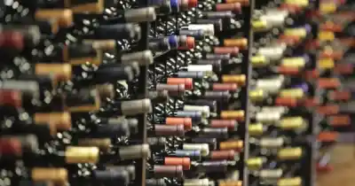 El dato que ilumina a la vitivinicultura argentina: las exportaciones crecieron 14,2% en el primer semestre