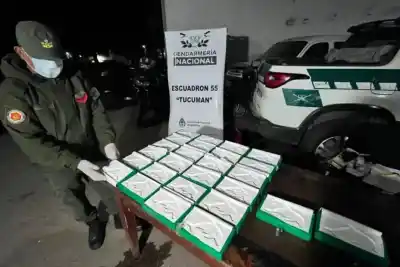 El sello del delfín: la marca que delata a los narcos en Tucumán