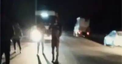 Chocaron contra una vaca en plena ruta y el impacto fue devastador: “Se nos cruzó en plena oscuridad”
