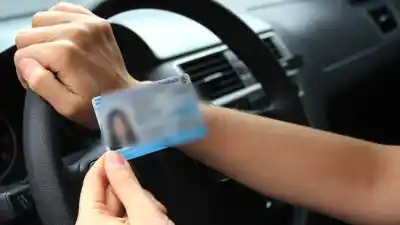 Vendían licencias de conducir truchas por redes: dos empleadas municipales detenidas en Neuquén