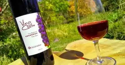 Vuelve la Fiesta del Vino de la Costa: tres días de música, concursos y tradición en Berisso