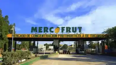 Encuentran a Joven Degollada Cerca del Mercofrut: Investigan Femicidio