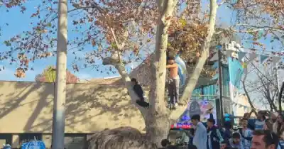 Un hincha trepó a un árbol y autos quedaron atrapados: las perlitas de los festejos en Mendoza