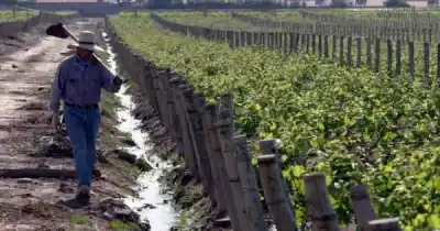 Proyecto para declarar Patrimonio a la Ruta del Vitimigrante: ¿qué legado se reconoce?