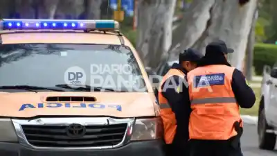 Discusión entre hermanos en una feria artesanal terminó a los golpes: uno denunció al otro