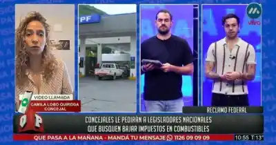 El 35% de lo que pagás en nafta se va en impuestos: el reclamo de concejales salteños al Congreso