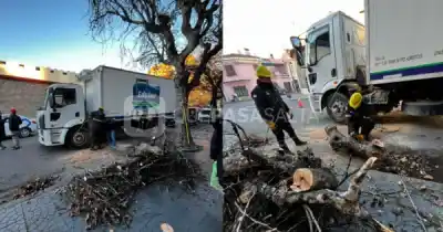 Una simple maniobra terminó en un gran susto en pleno centro salteño