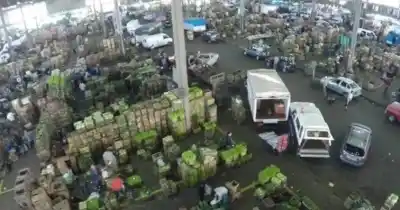 Las heladas arruinan los cultivos y los puesteros del Mercado de Fisherton lanzan una alerta desesperada