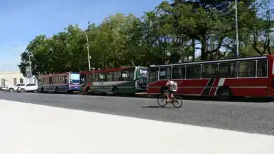 El Municipio puso $40 millones para salvar el boleto: ¿qué pasó con los colectivos?
