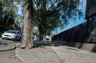 El cambio que se viene en el ex Abasto: adiós a las veredas rotas y a los árboles que las destruyen