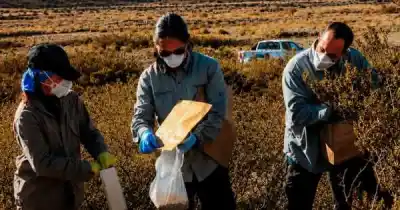 El misterio del sur mendocino: no encontraron lo que buscaban tras la muerte de dos turistas