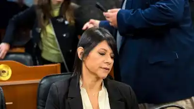 La diputada que insiste: Natalia Herrera vuelve a exigir respuestas para ingresar a un hogar de niñas