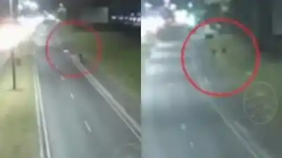 Intentó robarle la moto y terminó muerto: la feroz reacción de un policía federal en La Plata