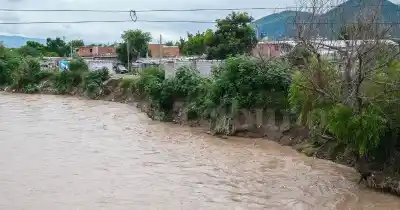 33 perros dieron positivo a leptospirosis: la alarma crece en el río Arenales