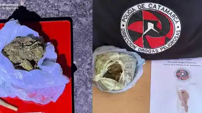 Lo que una perra antinarcóticos encontró en el equipaje de un joven en un colectivo