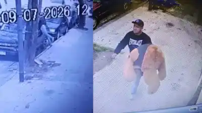 Un ladrón se llevó un oso de peluche gigante de una camioneta en Saavedra y las cámaras lo registraron todo