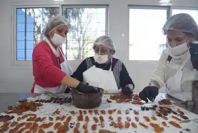 De la vereda a la góndola: así transforman las naranjas agrias de Tucumán en dulces y licores premium