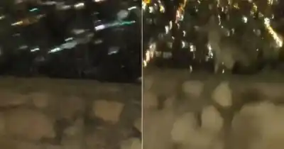 Apareció en el cerro San Bernardo y lo que hizo sorprendió a todos