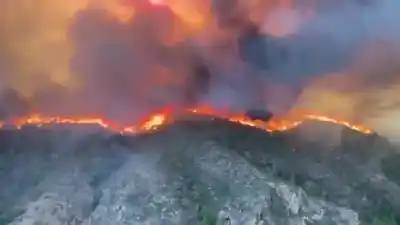 Almería en llamas: 12 muertos y 23 desaparecidos en el peor incendio del siglo en España