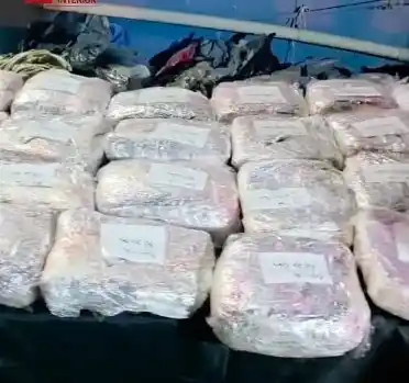El olfato de un perro destapó un cargamento de 43 kilos de marihuana en Tucumán
