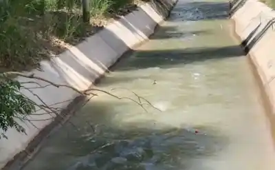 Apareció sin vida en un canal de riego: el macabro hallazgo que paralizó Perico
