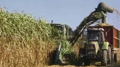 Los ingenios de Monteros podrían culminar la zafra antes de octubre