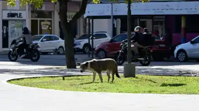 El pronóstico del tiempo para este sábado en Santiago del Estero: ¿vuelve el frío?