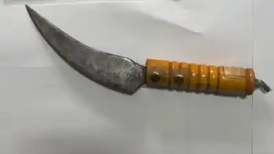 Apuñaló a su expareja mientras cumplía prisión domiciliaria por abuso sexual
