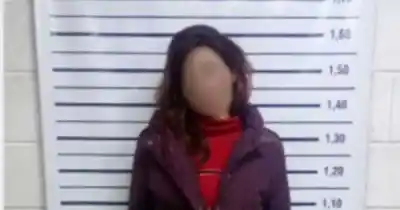Sorprendida in fraganti: intentaba cortar caños de un aire acondicionado con un cuchillo