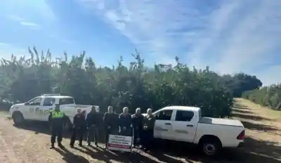 Recuperación de Tierras Fiscales: El Estado Pone Fin a Cultivos Ilegales en León Rougés