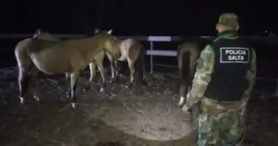 Entraron a una finca y lo que encontraron dejó helada a la Policía Rural