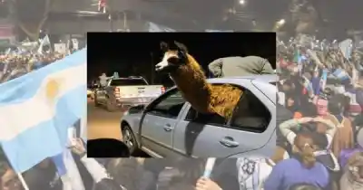 Festejó el Mundial con una llama en el auto: ahora lo investigan por maltrato animal